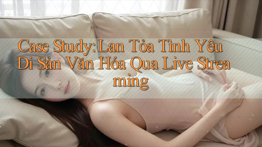 Case Study: Lan Tỏa Tình Yêu Di Sản Văn Hóa Qua Live Streaming Case Study: Lan Tỏa Tình Yêu Di Sản Văn Hóa Qua Live Streaming