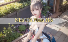 nhà cái Phản hồi