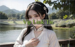 vip Link tải